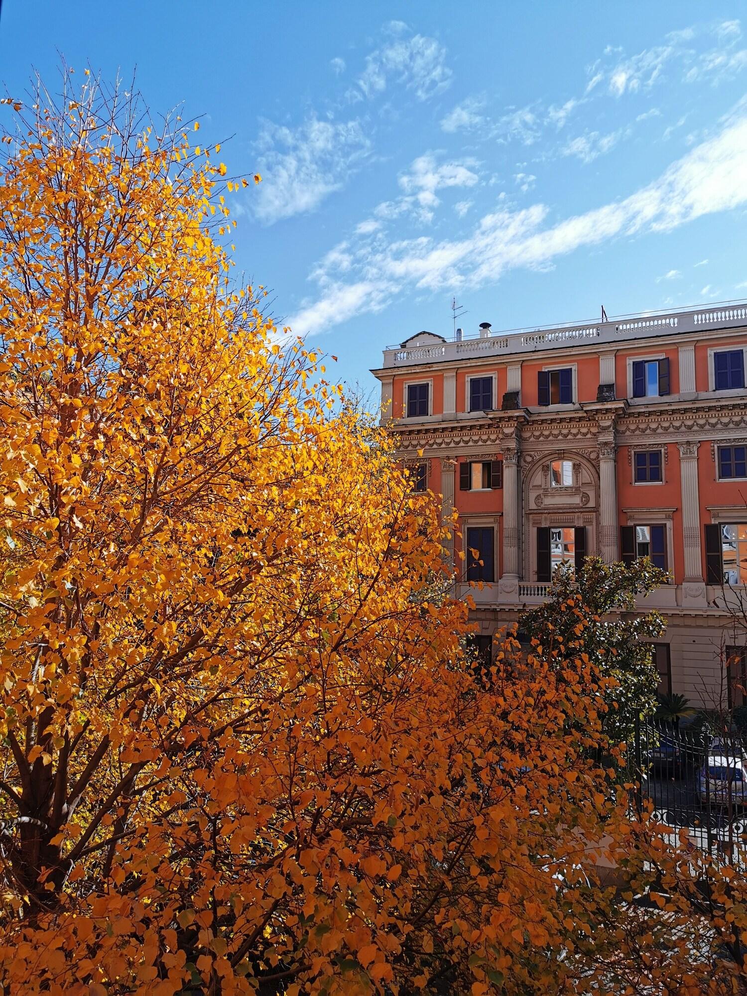 Boncompagni Roma